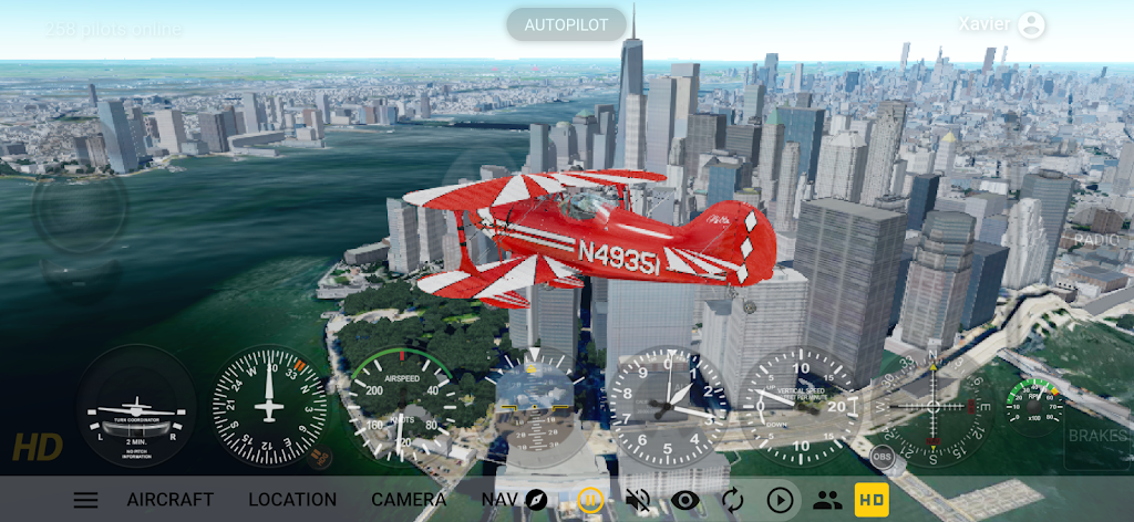 GeoFS - Flight Simulator Screenshot2