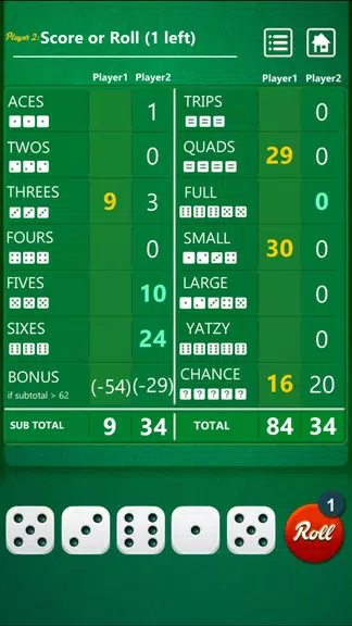 Yatzy - The dice game Screenshot1