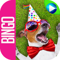 Dog Bingo APK