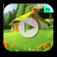 Video Live Wallpaper APK