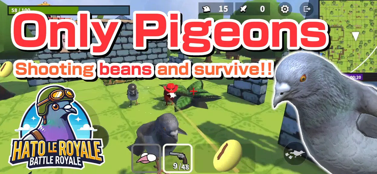 HATO LE ROYALE-pigeon Battle Screenshot1