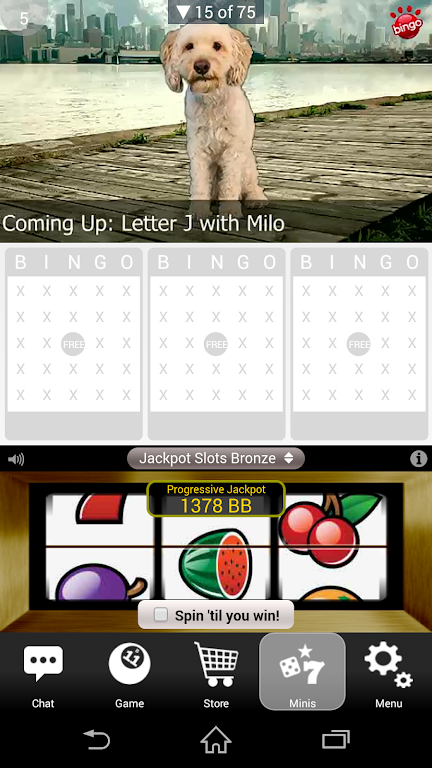 Dog Bingo Screenshot1