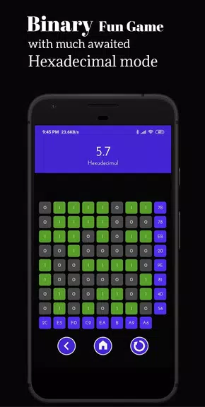 Binary Fun: Number System Game Screenshot4