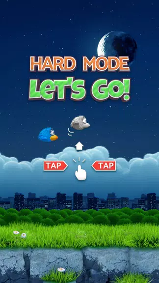 Flying Bird 3D: Dear Birdie Screenshot3