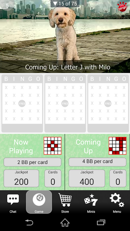 Dog Bingo Screenshot3