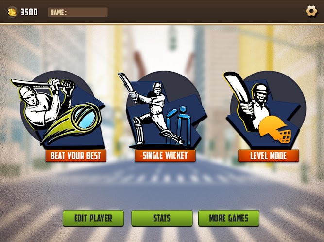 T20 Street Cricket Game Screenshot8