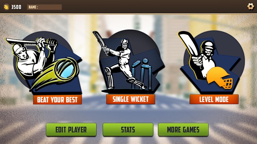 T20 Street Cricket Game Screenshot4