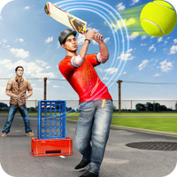 T20 Street Cricket Game APK