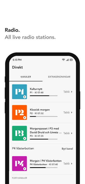 Sveriges Radio Play Screenshot3