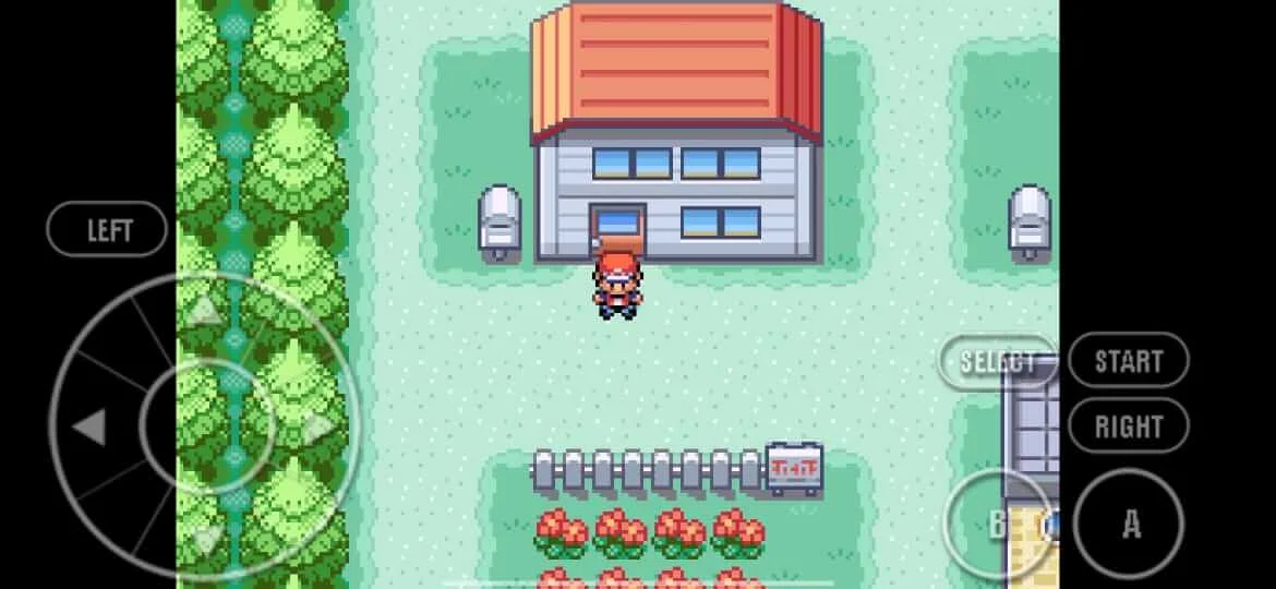 Pokemon Fire Red Screenshot1