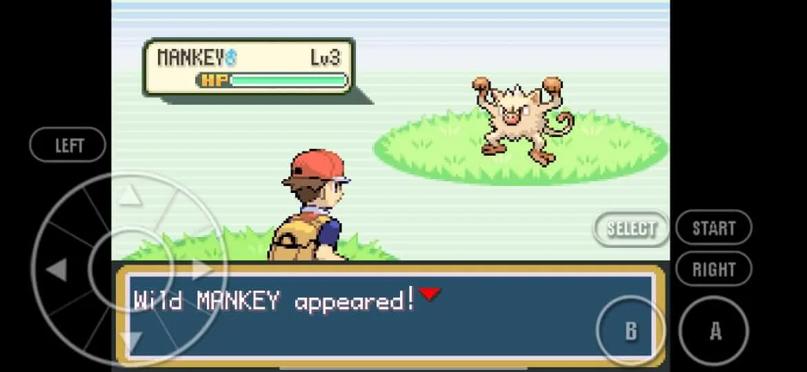 Pokemon Fire Red Screenshot2