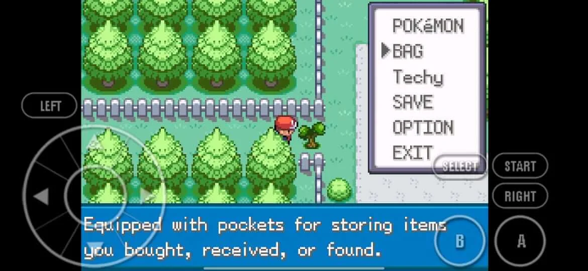 Pokemon Fire Red Screenshot8