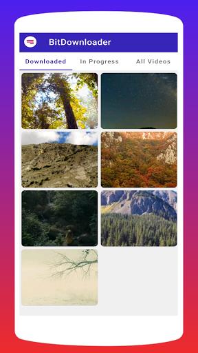Bitdownloader - Video Download Screenshot3