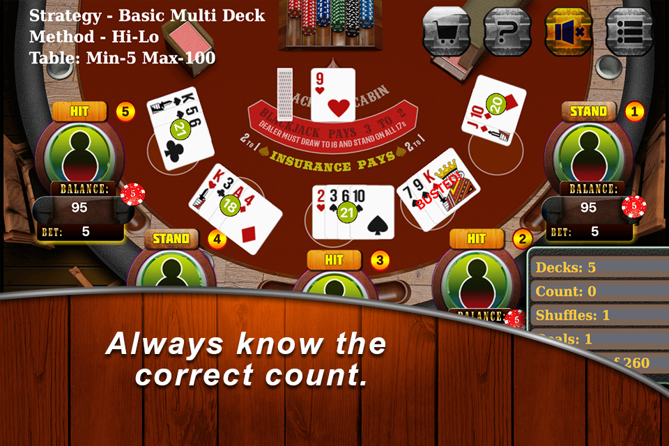 Blackjack Trainer Screenshot2