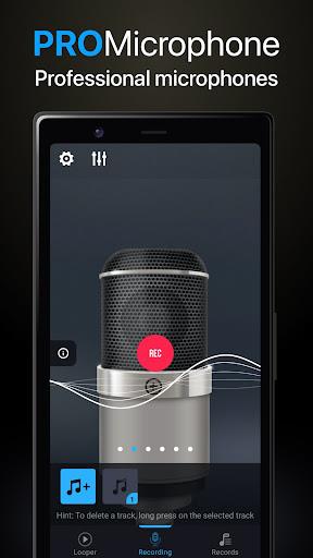 Pro Microphone Screenshot2