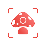 Picture Mushroom APK