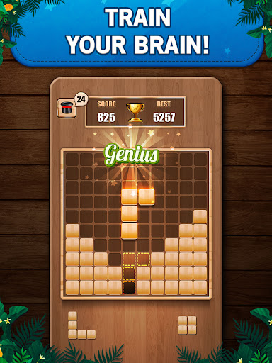 Wooden 100 Block Puzzle Game Screenshot1