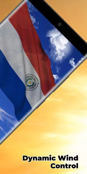 Paraguay Flag Live Wallpaper Screenshot2