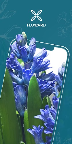 Floward Online Flowers & Gifts Screenshot1