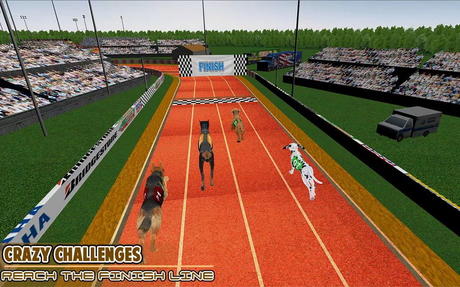 Dog racing games - dog game 3d Screenshot2