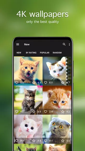 Cat Wallpapers & Cute Kittens Screenshot2