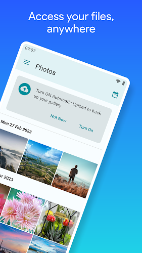 pCloud: Cloud Storage Screenshot2