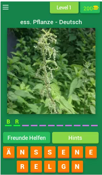 Pflanzen - Deutsch Screenshot1