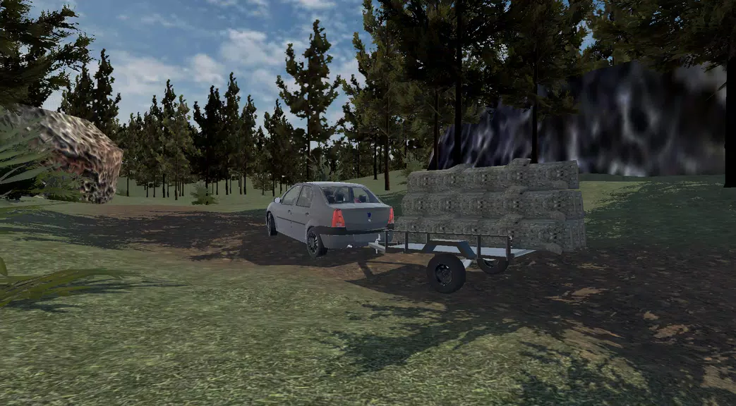 Romanian Driver Screenshot2