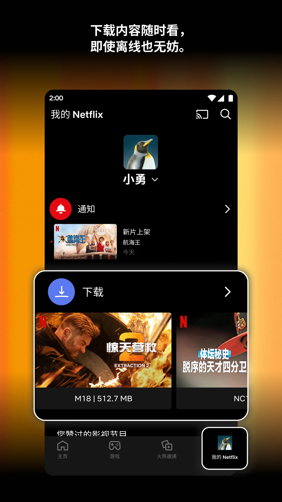 Netflix Screenshot1