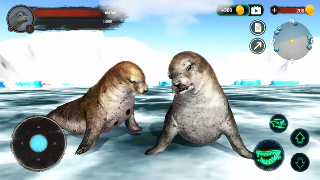 The Seal Screenshot4