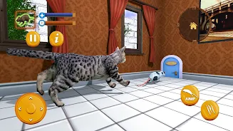 Stray Mouse Family Simulator Screenshot4