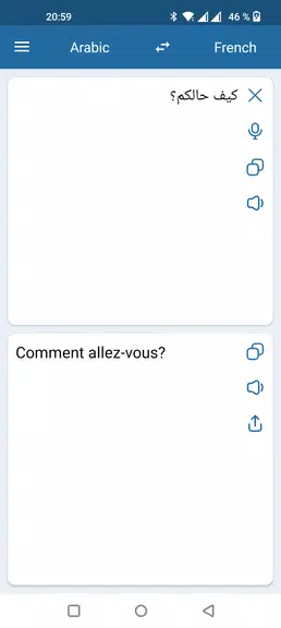 French Arabic Translator Screenshot1