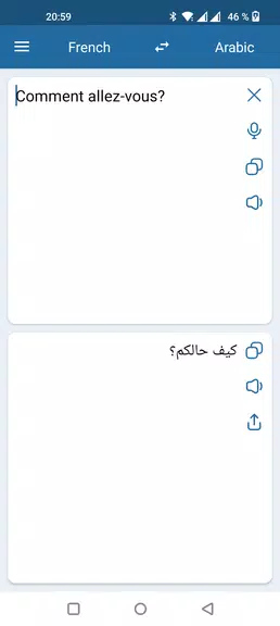 French Arabic Translator Screenshot2