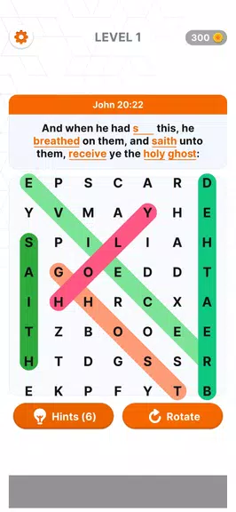 Bible Verse Search-Word Search Screenshot1