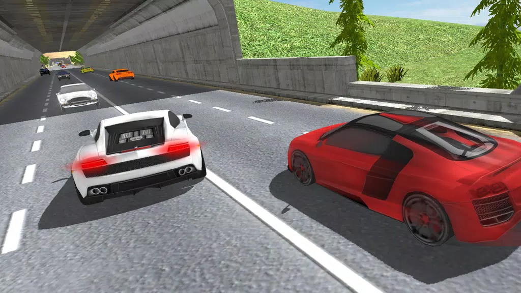 Traffic Highway Racer Screenshot2