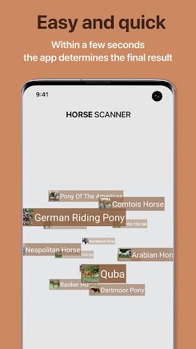 Horse Scanner Screenshot2