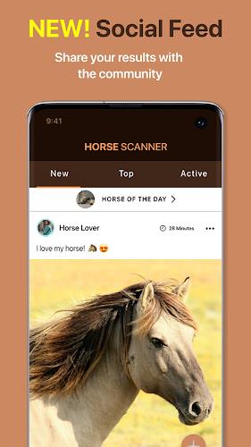 Horse Scanner Screenshot4