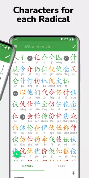 Hanping Chinese Dictionary Pro Screenshot4