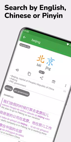 Hanping Chinese Dictionary Pro Screenshot1