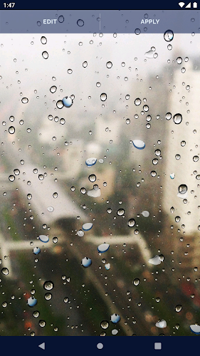 Rain Water Live Wallpaper Screenshot4