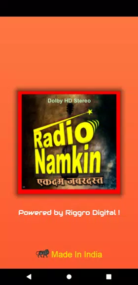 Radio Namkeen- FM Radio Online Screenshot1