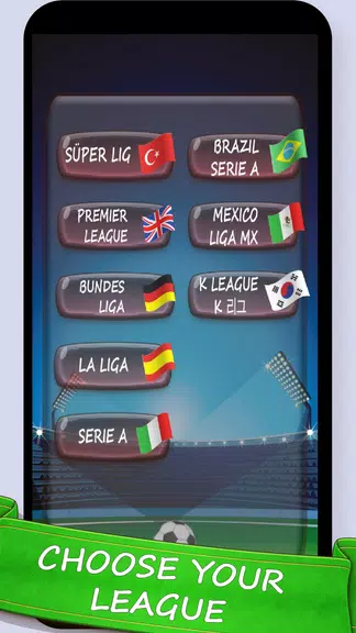 Football Game : Super League Screenshot1