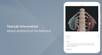 VOKA 3D Anatomy and Physiology Screenshot18