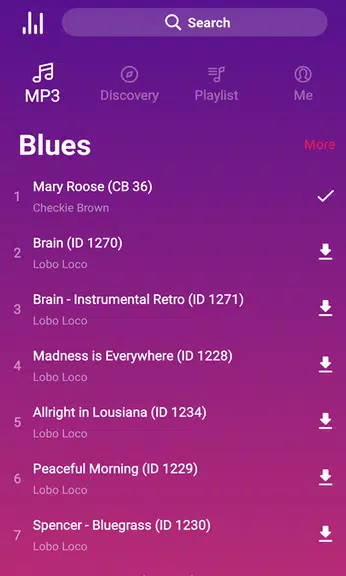 HiMusic： music player no wifi Screenshot2