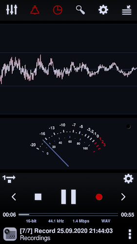 Neutron Audio Recorder (Eval) Screenshot2