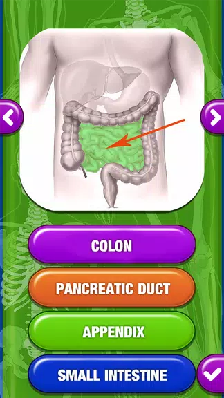 Human Body Anatomy Quiz Screenshot3