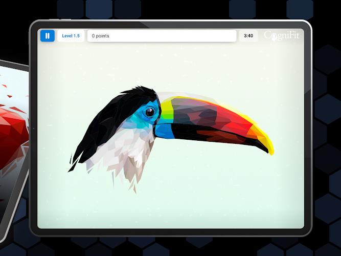 CogniFit - Test & Brain Games Screenshot15