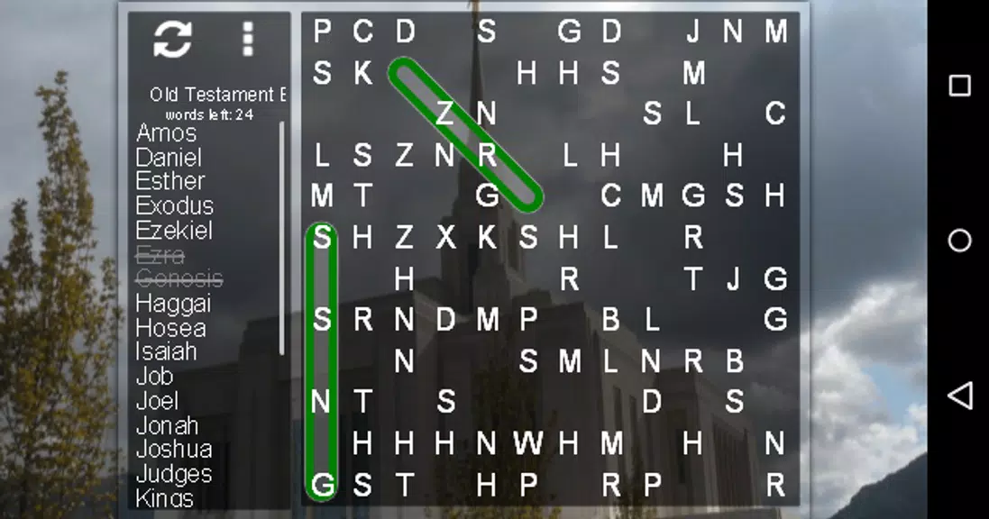 LDS Word Search Puzzle Screenshot2