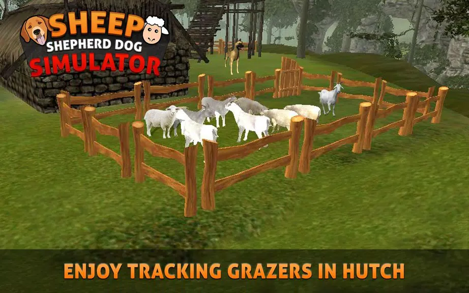 Sheep Shepherd Dog Simulator Screenshot1