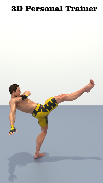 Capoeira Workout At Home Screenshot4